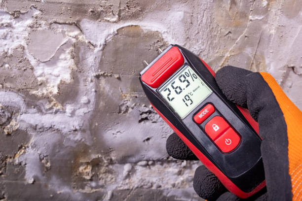 Best Certified Mold Removal  in Greenville, OH